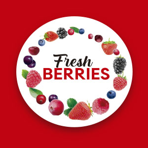 fresh-berries-logo