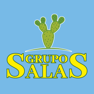 grupo-salas-logo