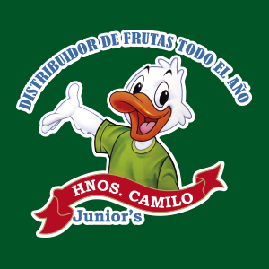 hnos-camilo-logo