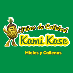 pinas-kamikase-logo