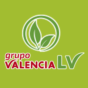 grupo-valencia-logo