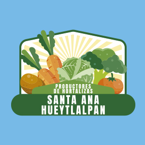 sta-anahueytlalpan-logo